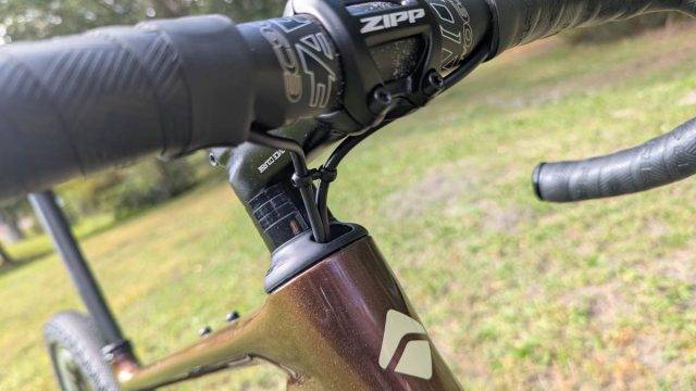 ari shafer 3.0 review