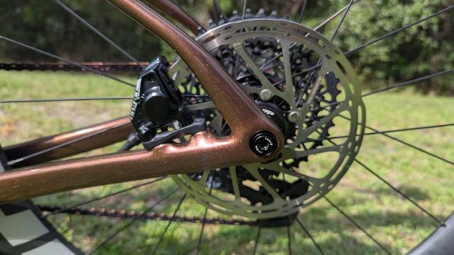 ari shafer 3.0 review