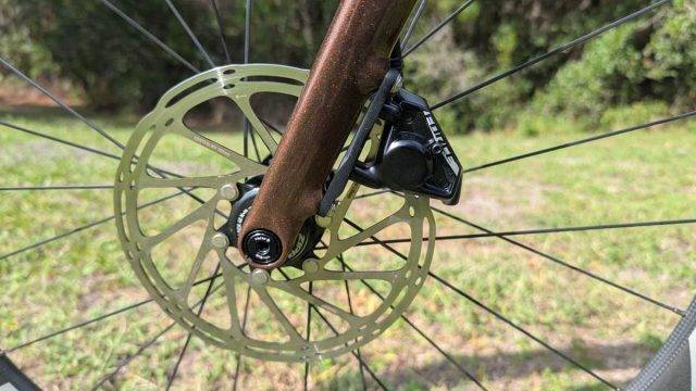 ari shafer 3.0 review