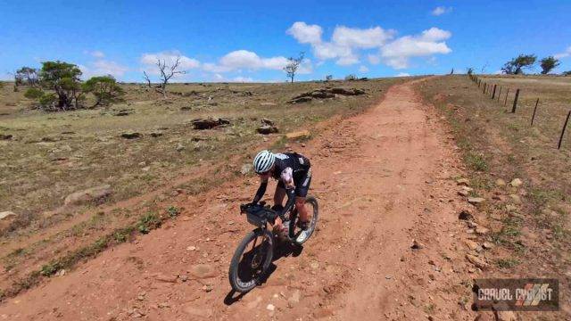 ari shafer 3.0 review