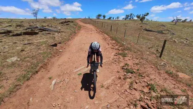 ari shafer 3.0 review