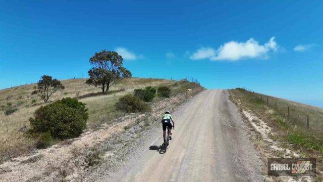 ari shafer 3.0 review