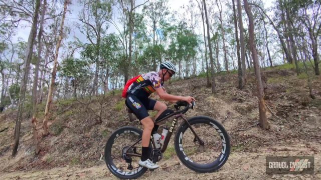 ari shafer 3.0 review