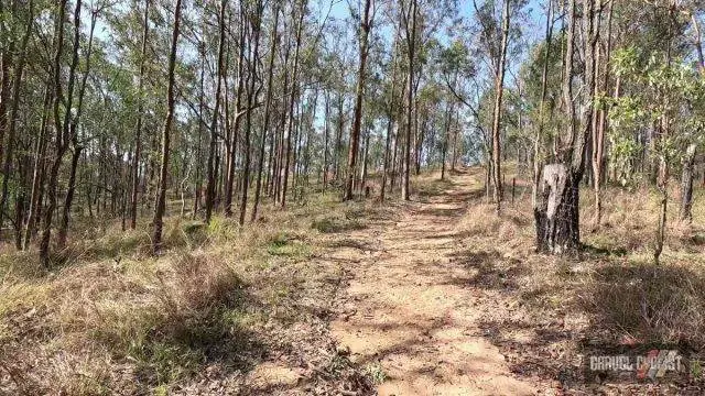 ripley queensland gravel cycling