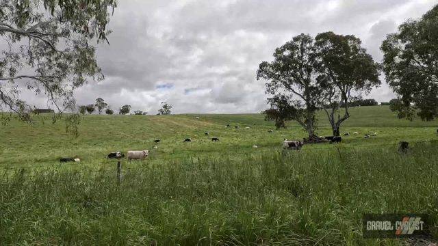 adelaide hills gravel cycling balhannah