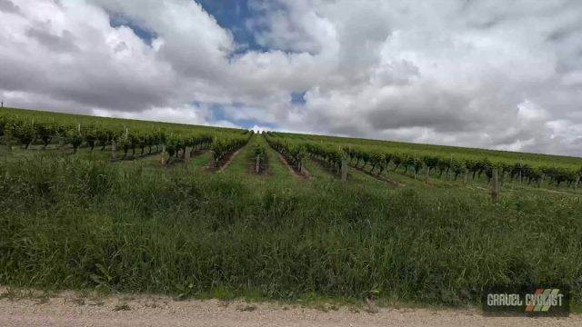 adelaide hills gravel cycling balhannah