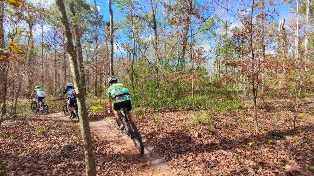 trek checkout review