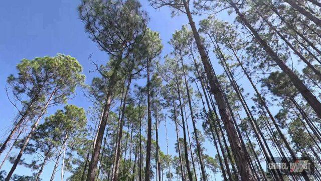 faustian bargain gravel cycling