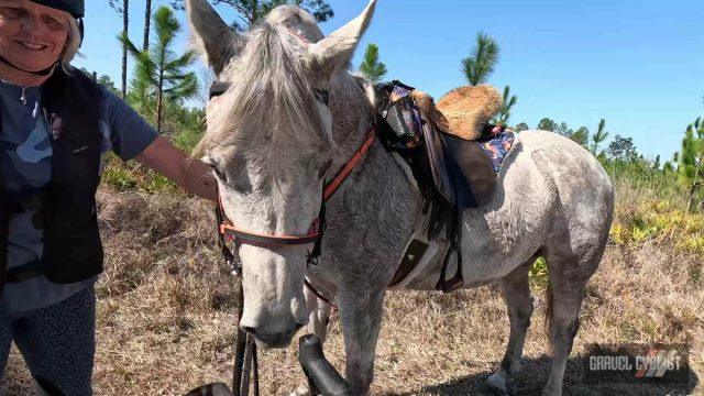 faustian bargain gravel cycling