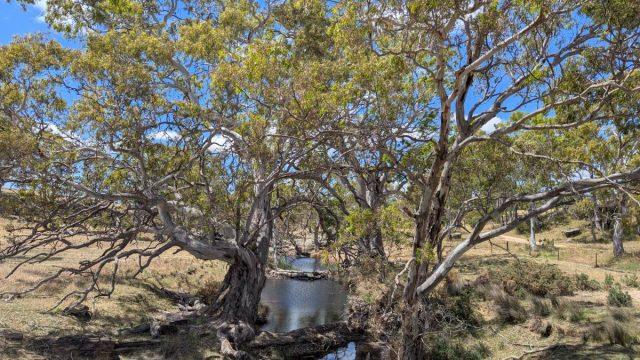mount pleasant gravel cycling