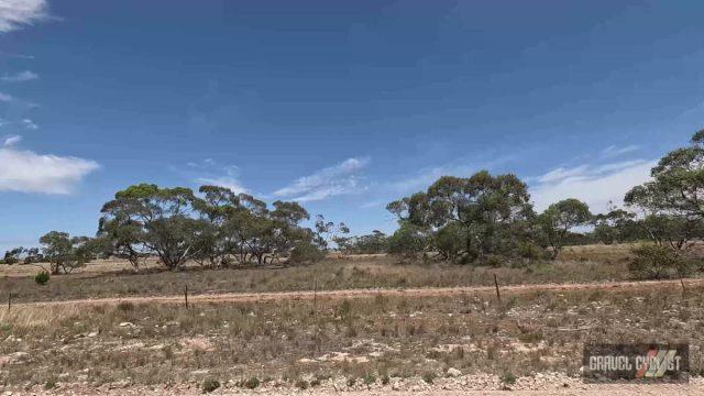 tailem bend gravel cycling