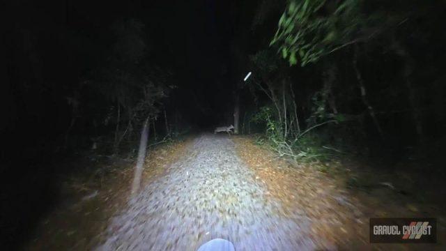 Wednesday night beer ride