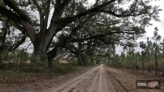 100 miles of north florida gravel cycling