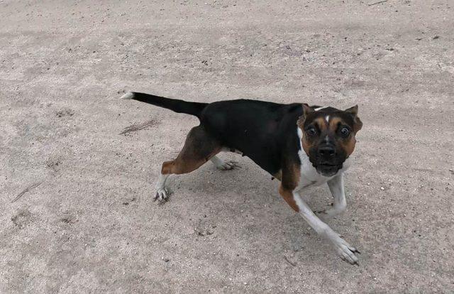 100 miles of north florida gravel cycling
