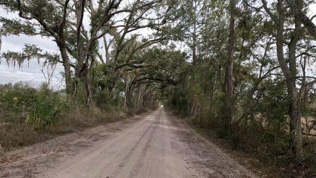 100 miles of north florida gravel cycling