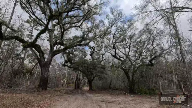 100 miles of north florida gravel cycling