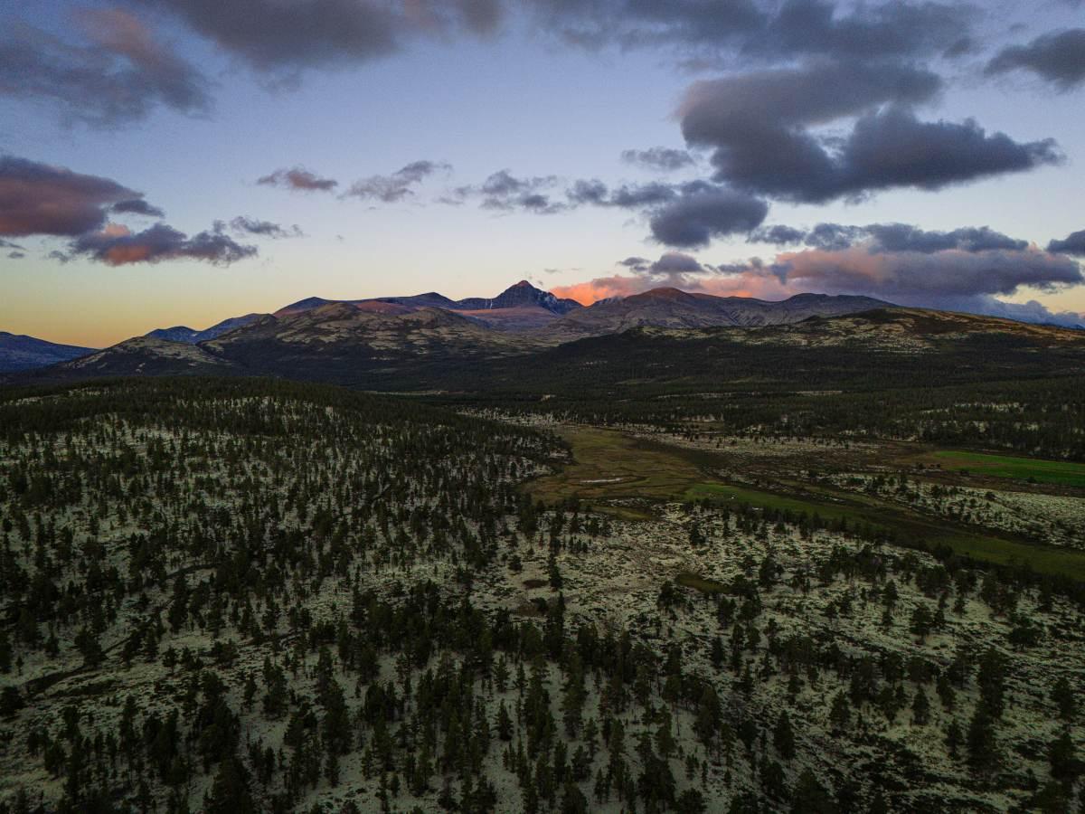 Mother North Ultra report