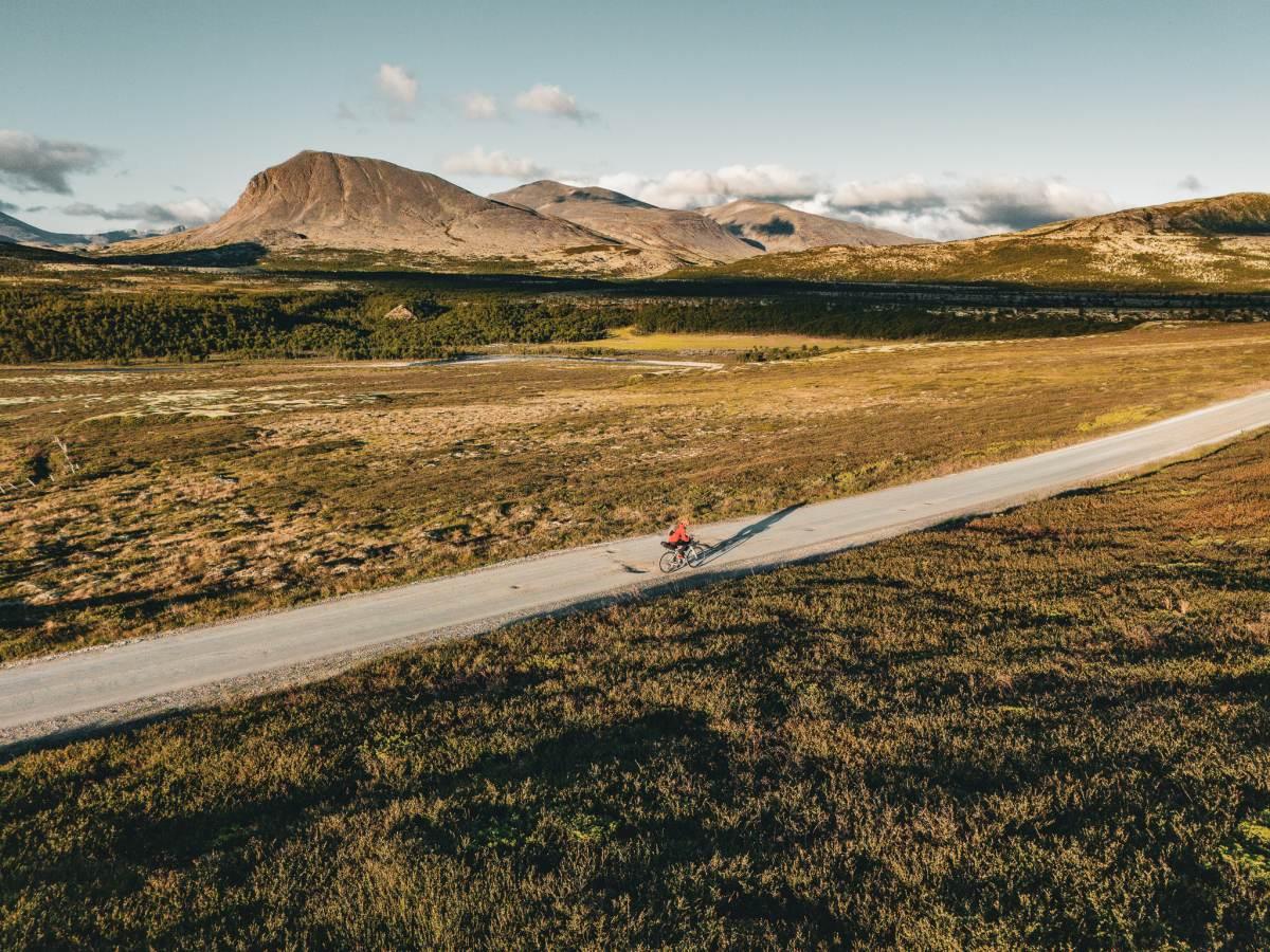 Mother North Ultra report