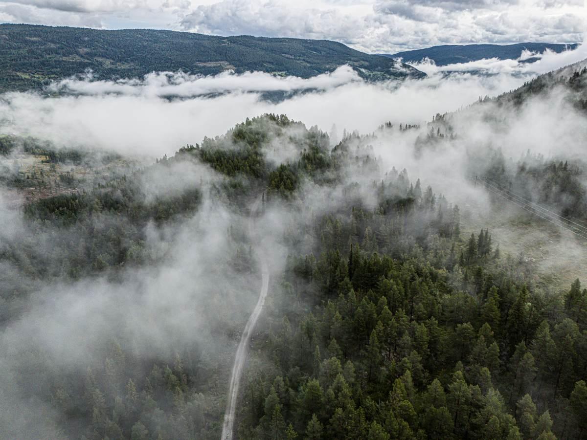 Mother North Ultra report