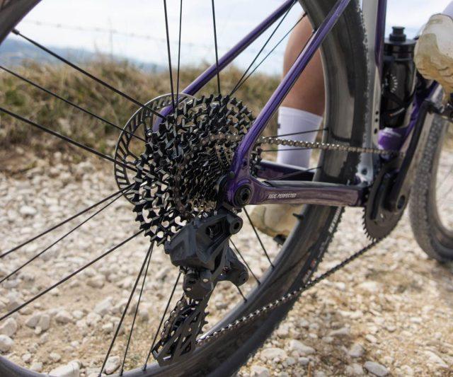 campagnolo record 1x13 review