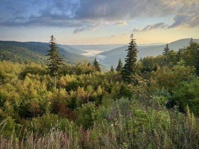 Mon Forest Towns gravel cycling