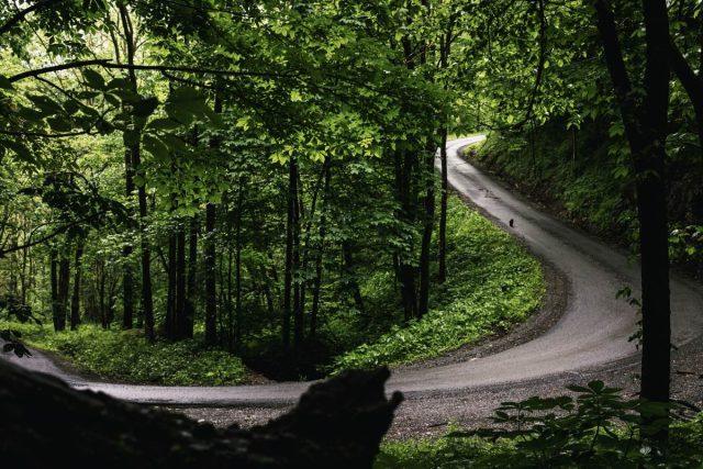 Mon Forest Towns gravel cycling