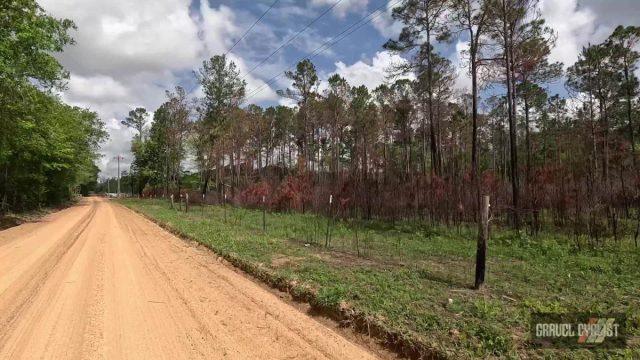 farm roads of southern georgia