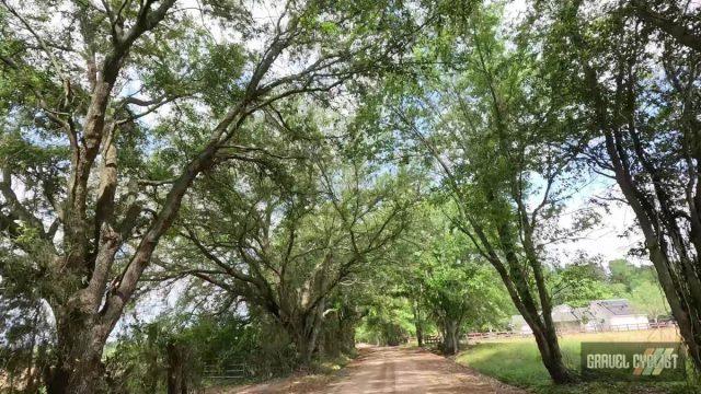 farm roads of southern georgia