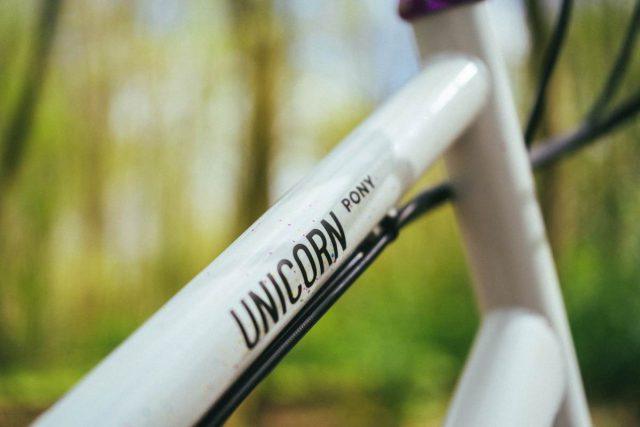unicorn pony mini cargo bike review