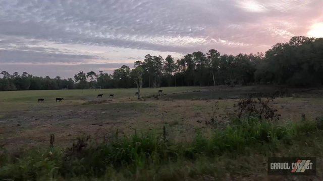 north florida gravel cycling