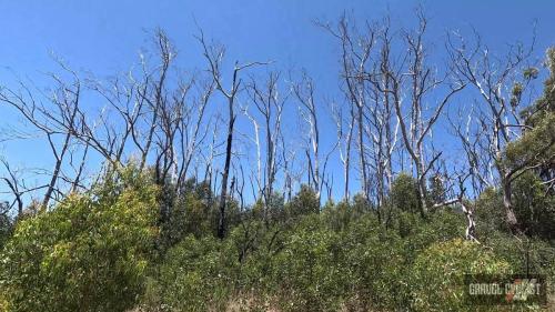 Adelaide Hills gravel cycling
