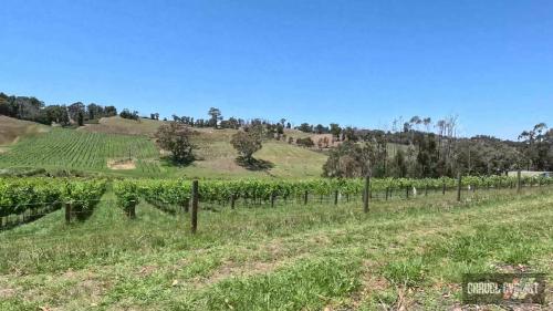 Adelaide Hills gravel cycling