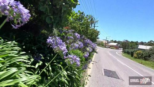 Adelaide Hills gravel cycling