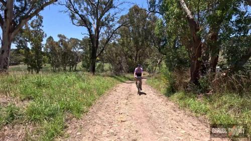 Adelaide Hills gravel cycling