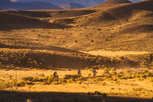 belgian waffle ride cedar city report 2020