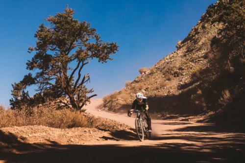 belgian waffle ride cedar city report 2020