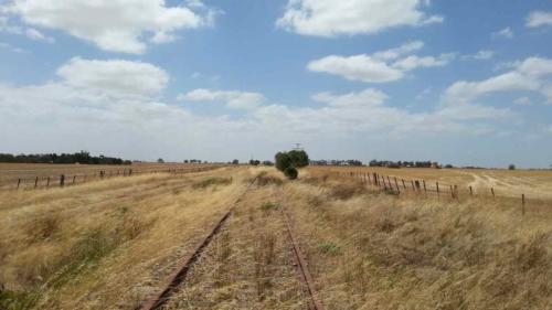 barossa valley gravel cycling