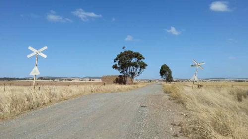 barossa valley gravel cycling