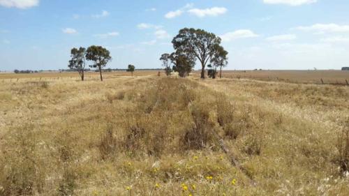 barossa valley gravel cycling