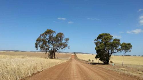 barossa valley gravel cycling