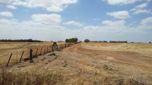 barossa valley gravel cycling