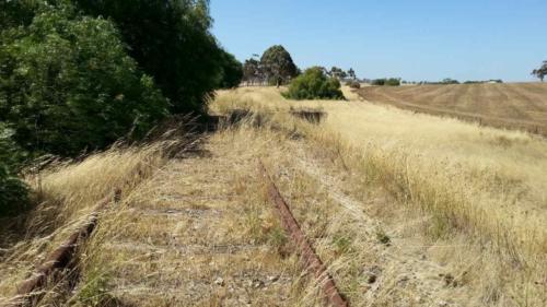 barossa valley gravel cycling