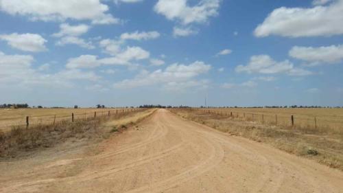 barossa valley gravel cycling