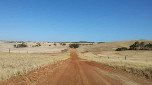 barossa valley gravel cycling