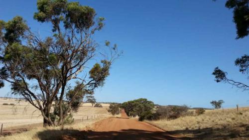 barossa valley gravel cycling