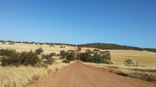barossa valley gravel cycling