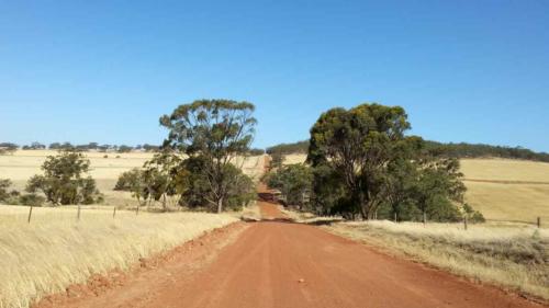 barossa valley gravel cycling