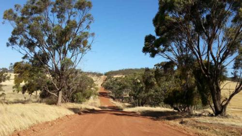 barossa valley gravel cycling