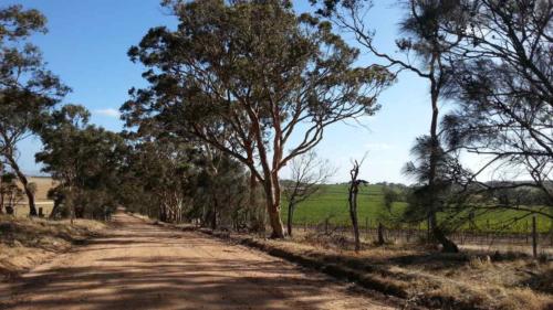 barossa valley gravel cycling