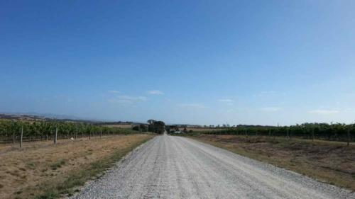 barossa valley gravel cycling